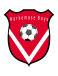 Harkemase Boys