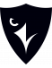 Carleton Ravens