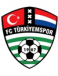 FC Türkiyemspor