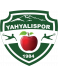 Yahyali Spor