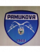 Pamukova 1968