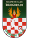 NK Bilogora 91