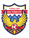 Hong Linh Ha Tinh FC logosu