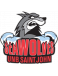 UNBSJ Seawolves