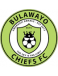 Bulawayo Chiefs