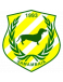 Samambaia FC logosu