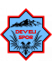 Develi Spor