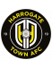 Harrogate U18