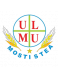 Mostistea Ulmu