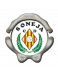 Soneja
