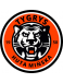 Tygrys H.