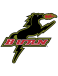 Dallas Burn