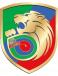 Miedz Legnica
