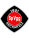SpVgg Neckarelz logosu