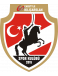 C. Kilicarslan