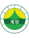 Gyeyang MS