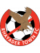 Rhayader