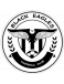 Black Eagles