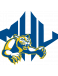 Lions