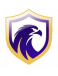 Falcon FC (SE) U20 logosu