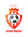 Soncinese logosu