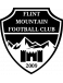 Flint Mountain