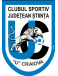 S. Craiova U19