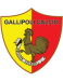 Gallipoli