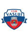 CSM Vaslui logosu