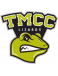 Truckee Lizards