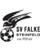 Falke Steinfeld