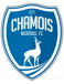 Niort U17