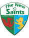 The New Saints logosu
