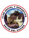 CSD Salto del Guairá  logosu