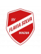 SV Flavia Solva