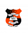 Al Ansar Al Bayda logosu
