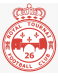 RFC Tournai B