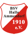 Halle-Ammendorf