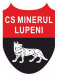M. Lupeni