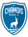 Chamois Niort