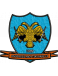 Anorthosis Mouttagiakas logosu