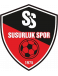 Susurluk Spor