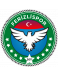 Ferizli Spor