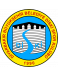 Diskispor