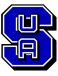 Soka Lions