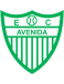 Avenida-RS