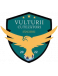 FC Vulturii