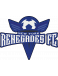 NY Renegades