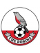 FC Downton