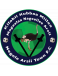 Logo Negele Arsi Town FC
